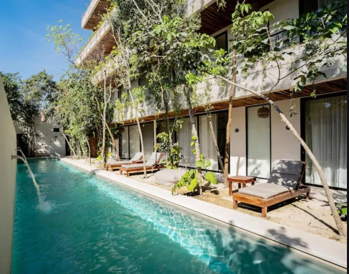Ph W Best Sunrises And Jungle View Digital Nomads Near Holistika Tulum